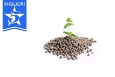 migliori cinque concimi per ortaggi